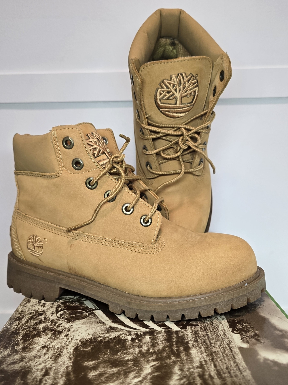 Timberland 6in Convesso Big Kid's Wheat Premium Leather Boots